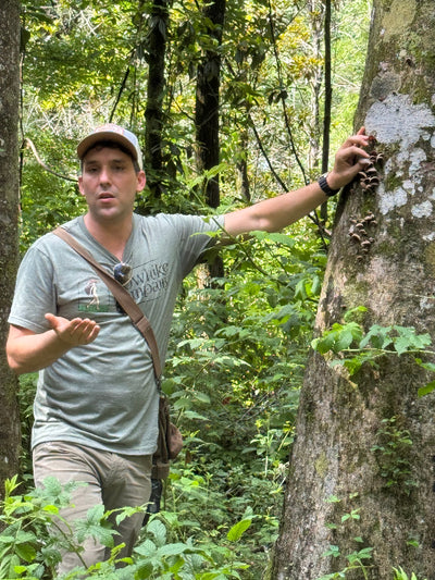 Forest to Table: Foraging & Cooking Class