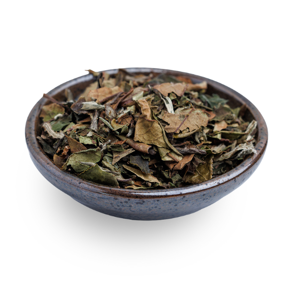White Peony Tea