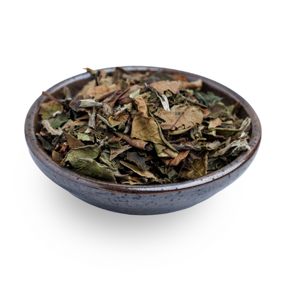 White Peony Tea