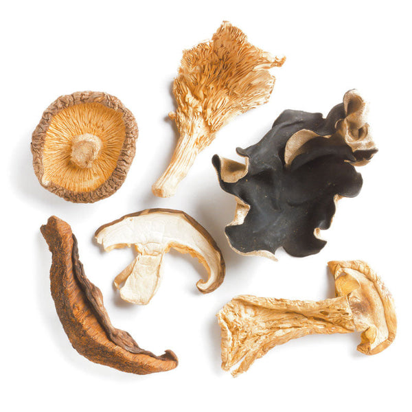 Dried Forest Blend Mushrooms