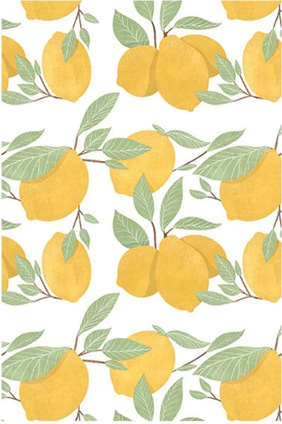 Mu Kitchen Oversized Kitchen Towels, Fun Patterns