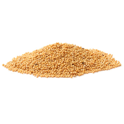 Mustard Seed-Yellow-Whole - Spices - Red Stick Spice Company