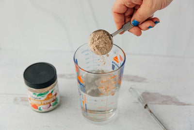 vegan broth powder